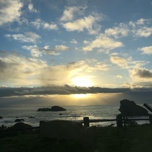 Meet your Posher, Noah